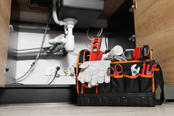 Best Local Plumber Services  in Tyhee, ID
